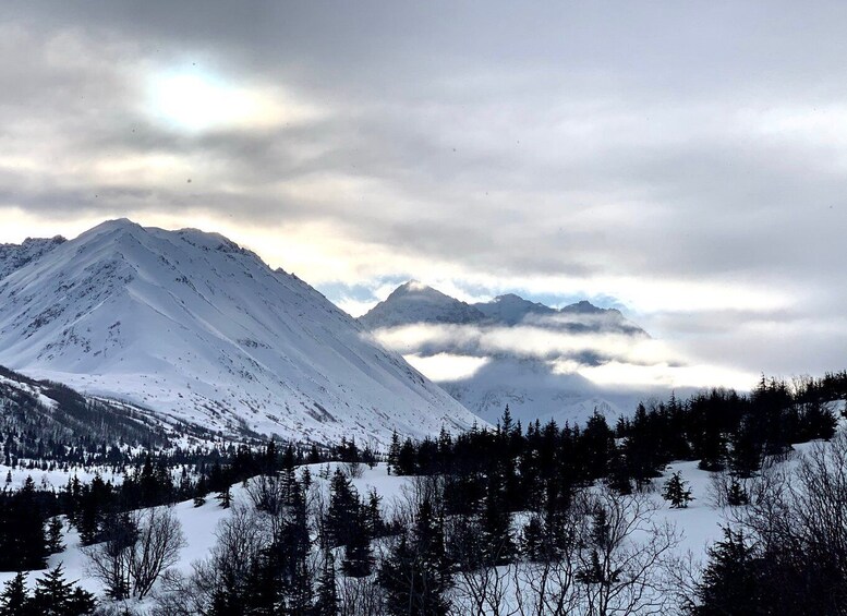 Picture 4 for Activity From Anchorage: Glen Alps Beginner's Snowshoeing Adventure