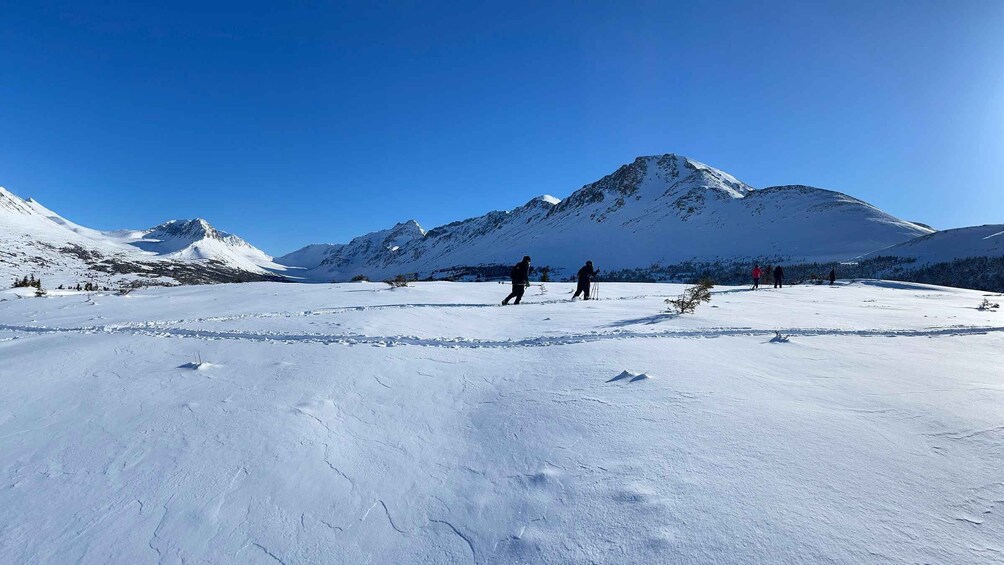 Picture 3 for Activity From Anchorage: Glen Alps Beginner's Snowshoeing Adventure