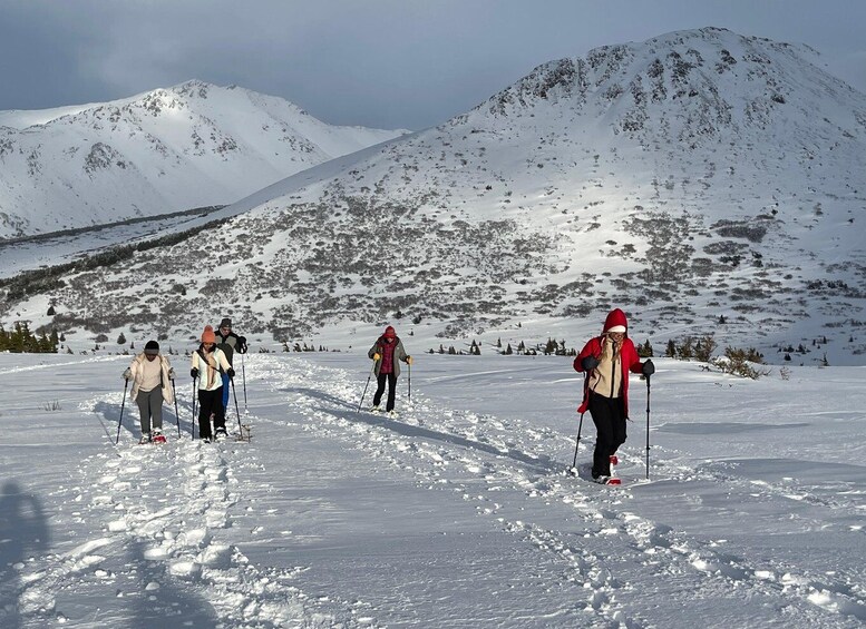 Picture 5 for Activity From Anchorage: Glen Alps Beginner's Snowshoeing Adventure