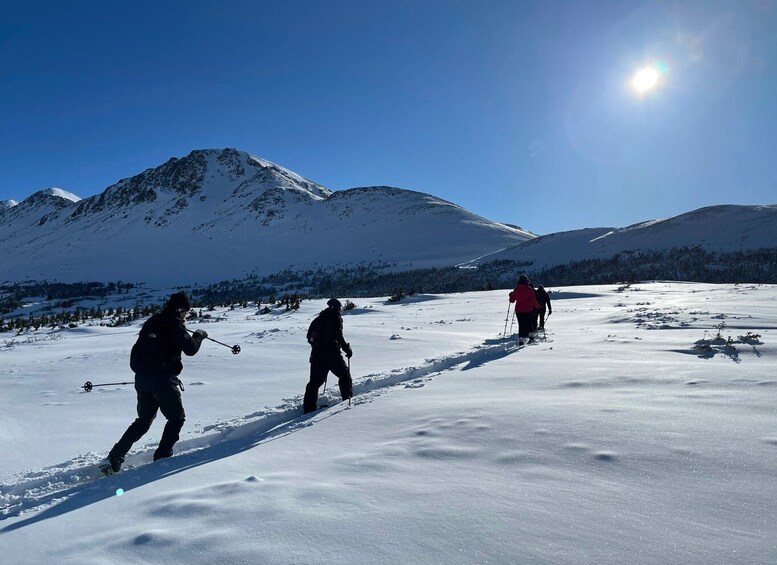 Picture 2 for Activity From Anchorage: Glen Alps Beginner's Snowshoeing Adventure