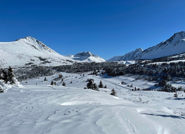 Picture 1 for Activity From Anchorage: Glen Alps Beginner's Snowshoeing Adventure