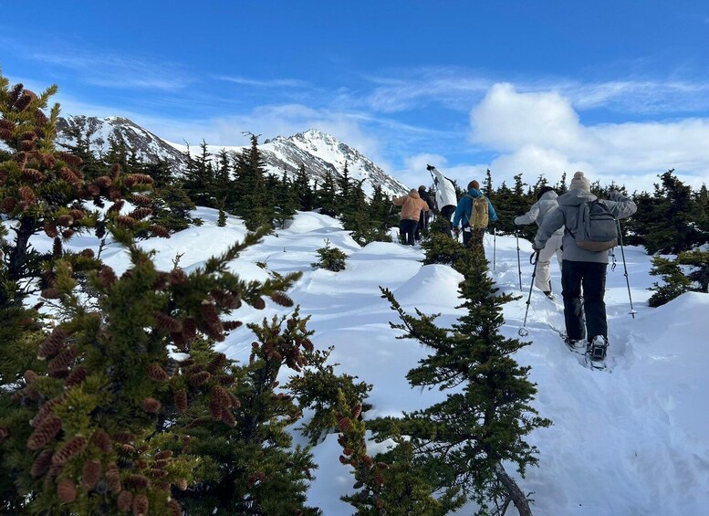 Picture 4 for Activity From Anchorage: Glen Alps Beginner's Snowshoeing Adventure