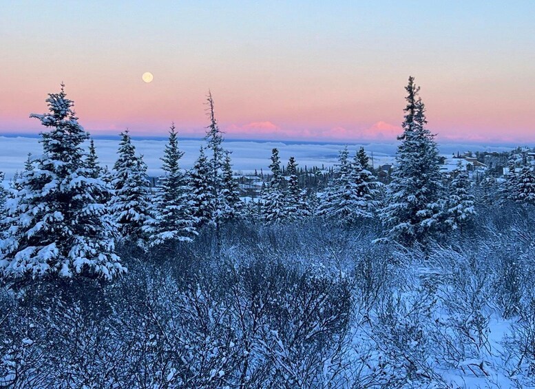 Picture 3 for Activity From Anchorage: Glen Alps Beginner's Snowshoeing Adventure