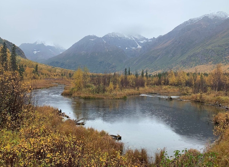 Picture 1 for Activity From Anchorage: Valley and Forest Hike with Naturalist Guide