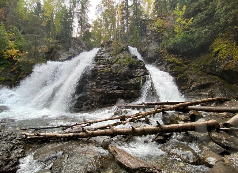 Picture 3 for Activity From Anchorage: Valley and Forest Hike with Naturalist Guide