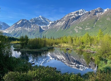 Desde Anchorage: caminata por el valle y el bosque con guía naturalista