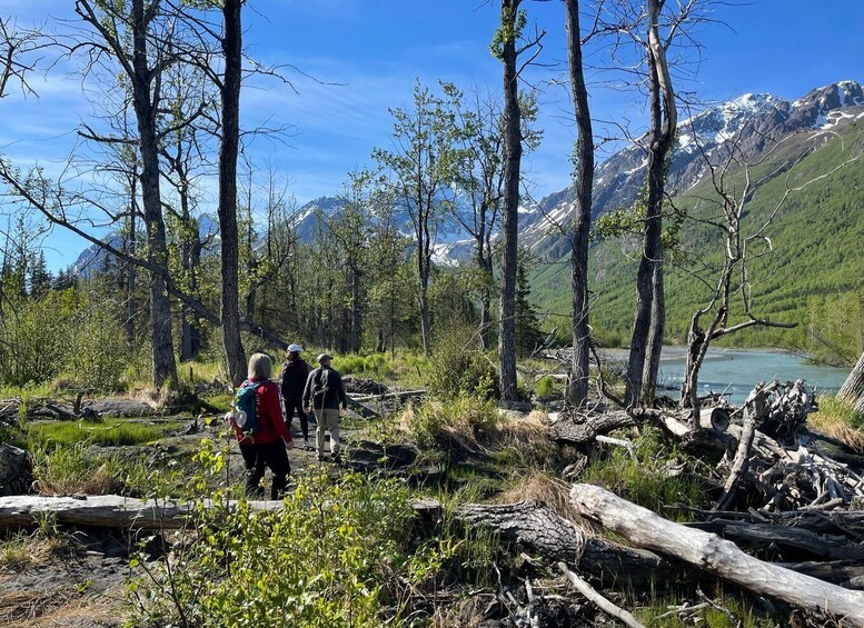 Picture 2 for Activity From Anchorage: Valley and Forest Hike with Naturalist Guide