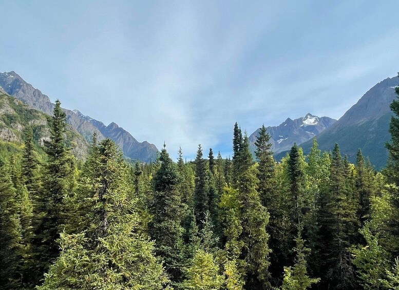 Picture 4 for Activity From Anchorage: Valley and Forest Hike with Naturalist Guide