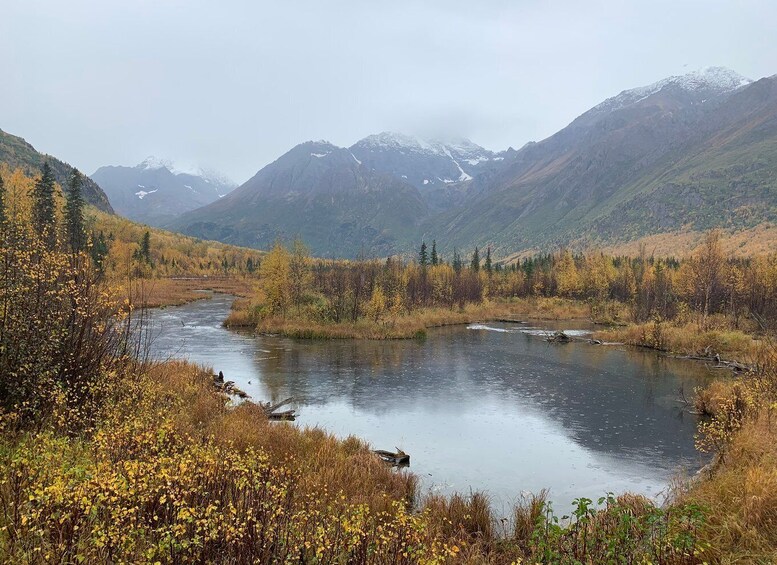 Picture 1 for Activity From Anchorage: Valley and Forest Hike with Naturalist Guide