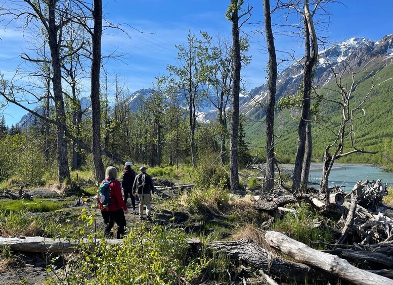 Picture 2 for Activity From Anchorage: Valley and Forest Hike with Naturalist Guide