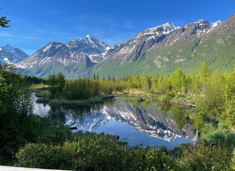 From Anchorage: Valley and Forest Hike with Naturalist Guide