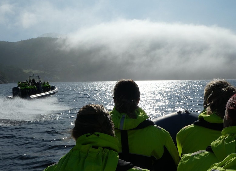 Picture 10 for Activity From Stavanger: RIB Tour to Lysefjord