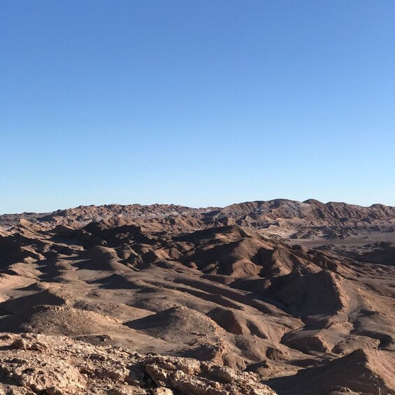 Picture 18 for Activity Atacama Desert and Magic Bus Visit