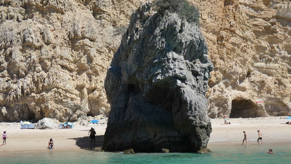 Picture 3 for Activity Sesimbra: Ribeiro do Cavalo Beach Taxi Boat