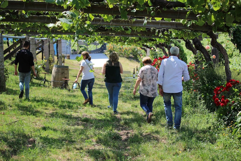 Picture 3 for Activity Albariño Wine Tasting with Winery Tour