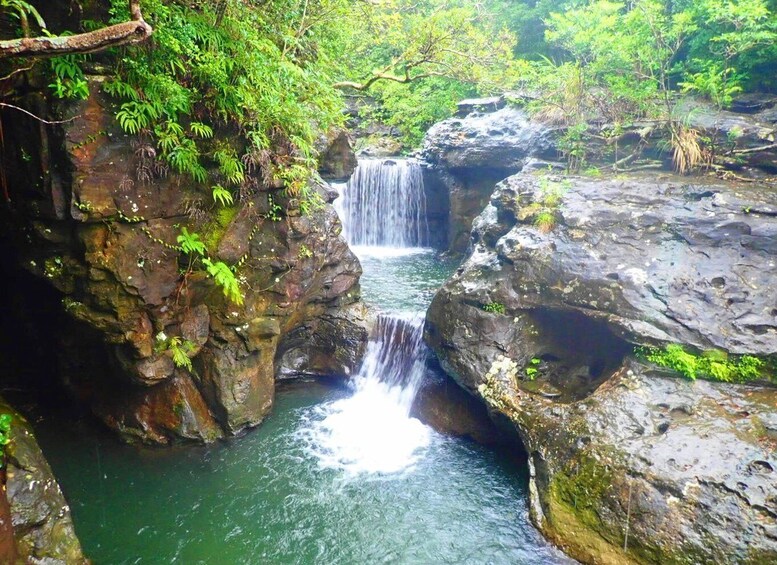 Picture 5 for Activity Iriomote Island: Guided 2-Hour Canyoning Tour