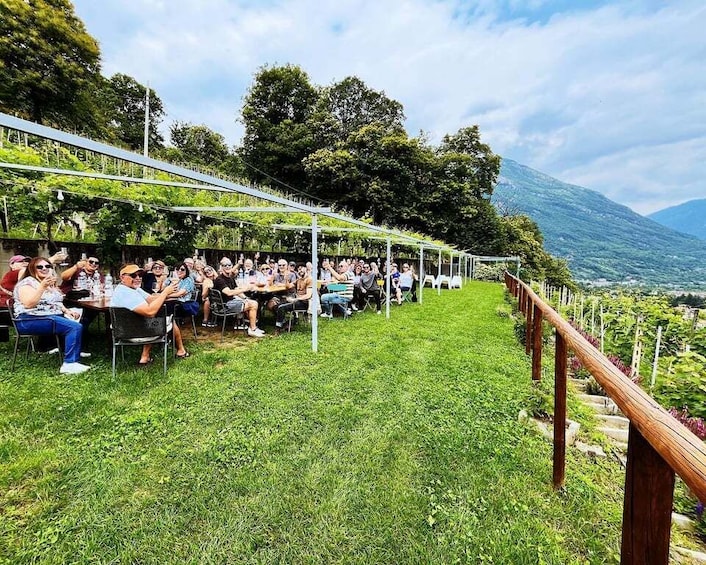 Picture 5 for Activity Domodossola: Ossola Valley Winery Tour with Tastings