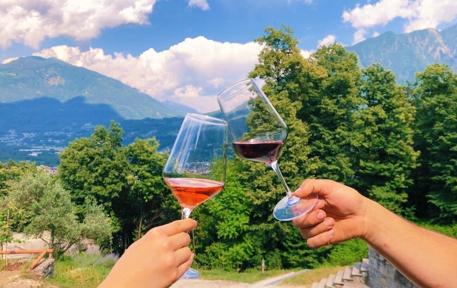 Domodossola: Ossola Valley Winery Tour with Tastings