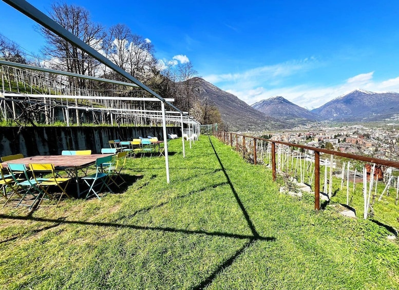 Picture 6 for Activity Domodossola: Ossola Valley Winery Tour with Tastings