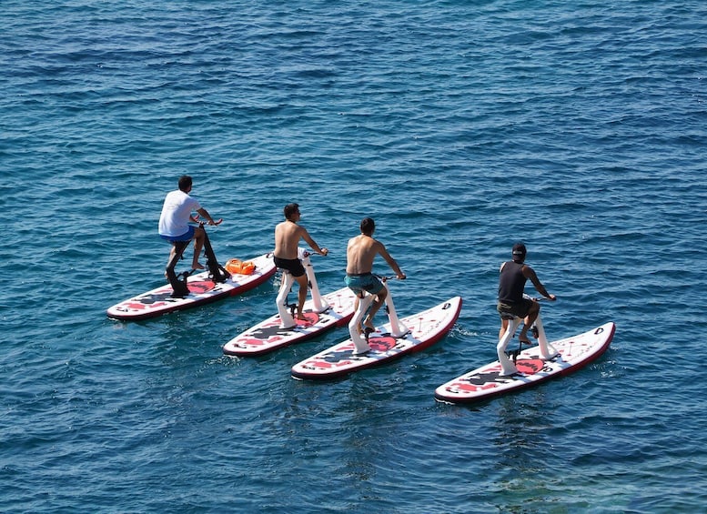 Picture 3 for Activity Girona: 2-Hour Costa Brava Water Bike Guided Tour