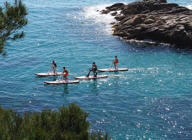 Gérone : Visite guidée de vélo aquatique Costa Brava de 2 heures