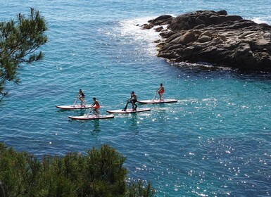 Girona: tour guiado de 2 horas en bicicleta acuática por la Costa Brava