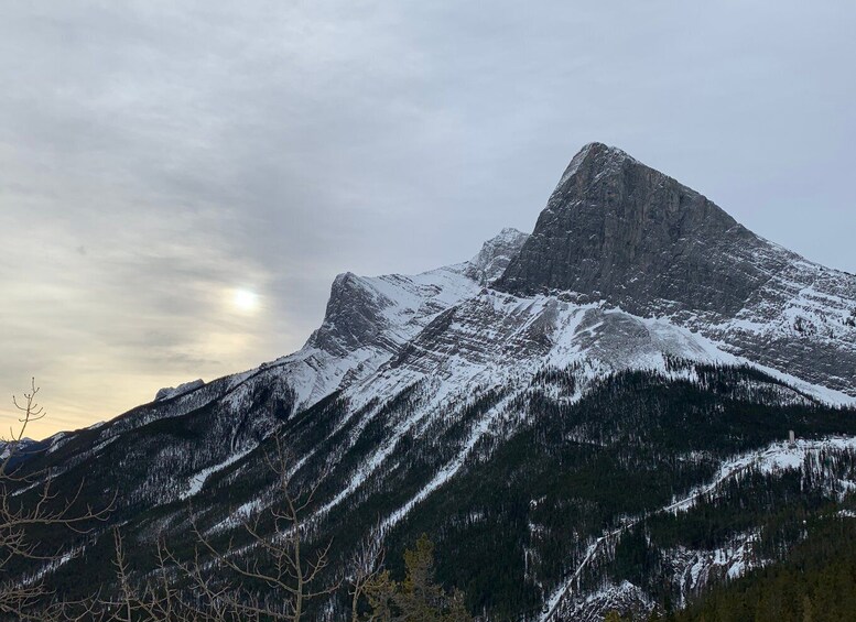 Picture 23 for Activity Canmore: 4-Hour Banff Park Safari Drive & Nature Walk