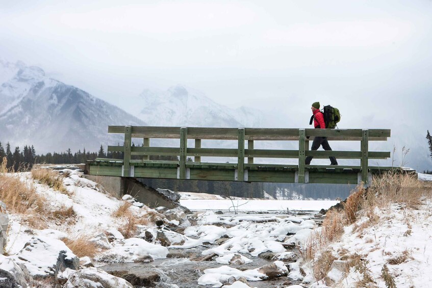 Picture 17 for Activity Canmore: 4-Hour Banff Park Safari Drive & Nature Walk