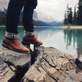 Canmore : Promenade safari de 4 heures dans le parc Banff et promenade dans...