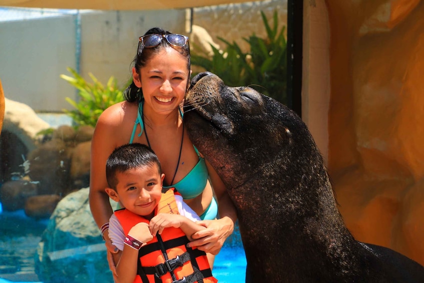 Picture 1 for Activity Puerto Vallarta: Sea Lion Discovery