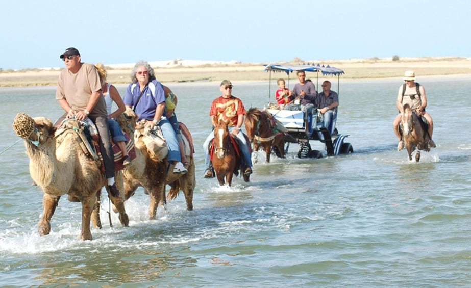 Picture 1 for Activity Djerba: Horse and Camel Combo Caravan Tour