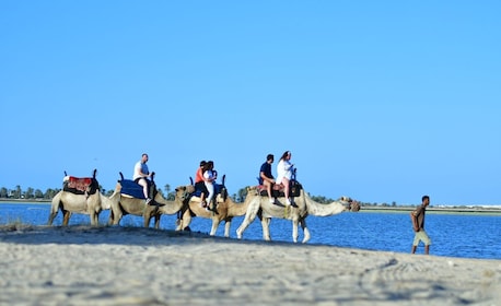 Djerba: Kombinerad husvagnstur med häst och kamel