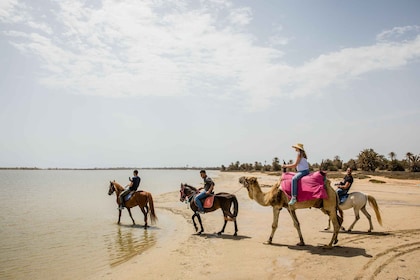 Djerba : Circuit en caravane à cheval et à chameau