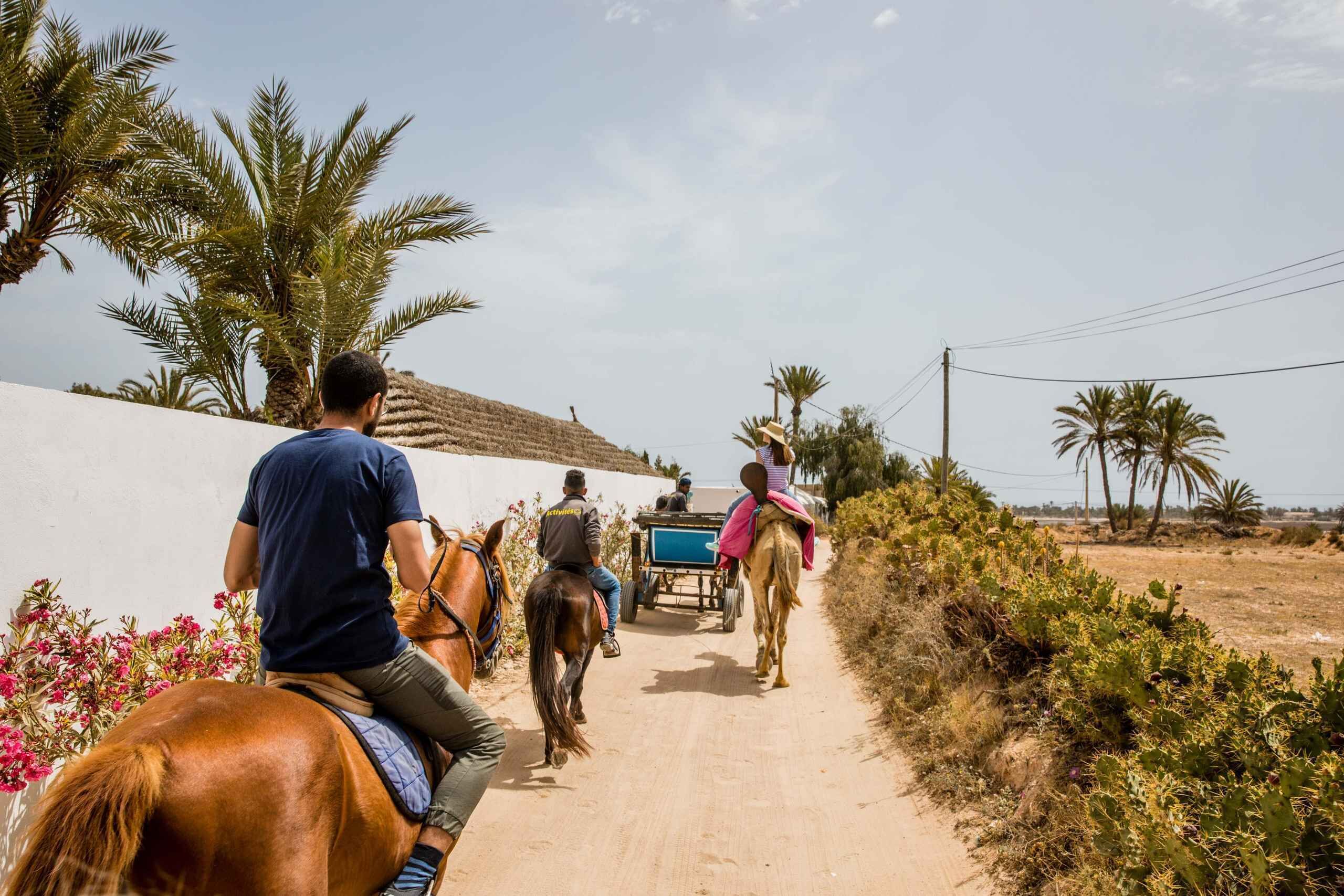 Hammamet: 3H Horse & Camel Combo with local bread tasting