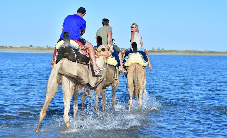 Picture 5 for Activity Djerba: Horse and Camel Combo Caravan Tour