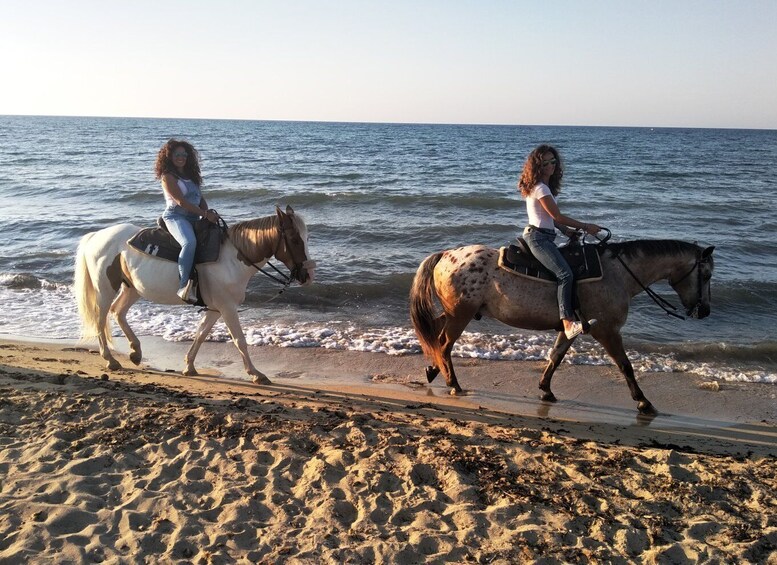 Picture 4 for Activity Apulia: Horseback Riding Trip in Parco Dune Costiere