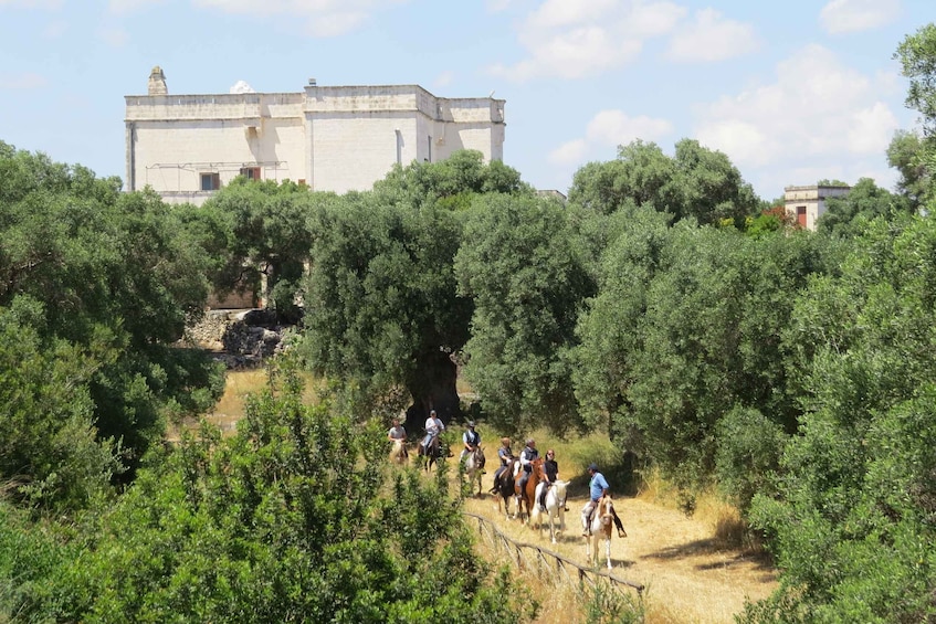 Picture 2 for Activity Apulia: Horseback Riding Trip in Parco Dune Costiere