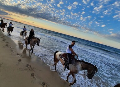 Apulien: Ridetur i Parco Dune Costiere