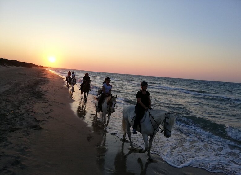 Picture 5 for Activity Apulia: Horseback Riding Trip in Parco Dune Costiere