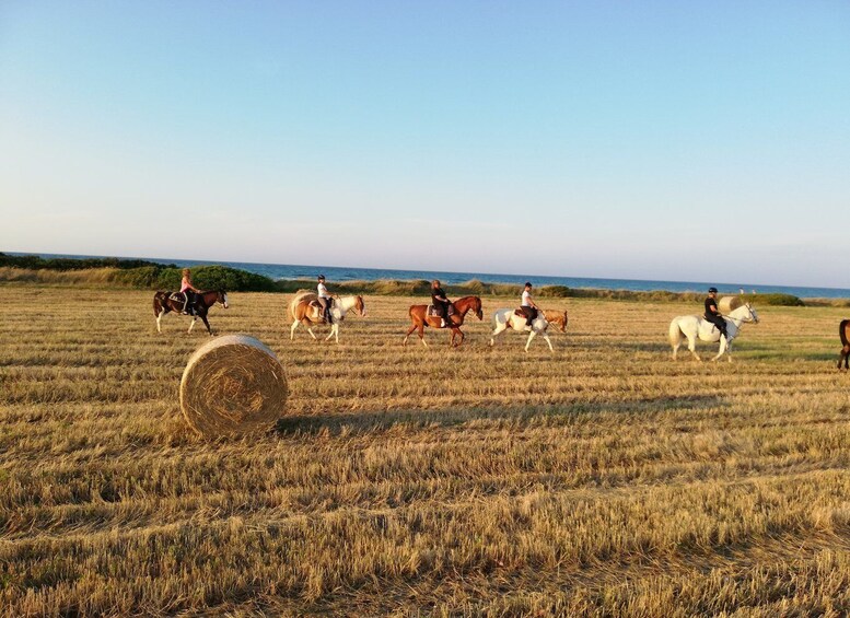 Picture 1 for Activity Apulia: Horseback Riding Trip in Parco Dune Costiere