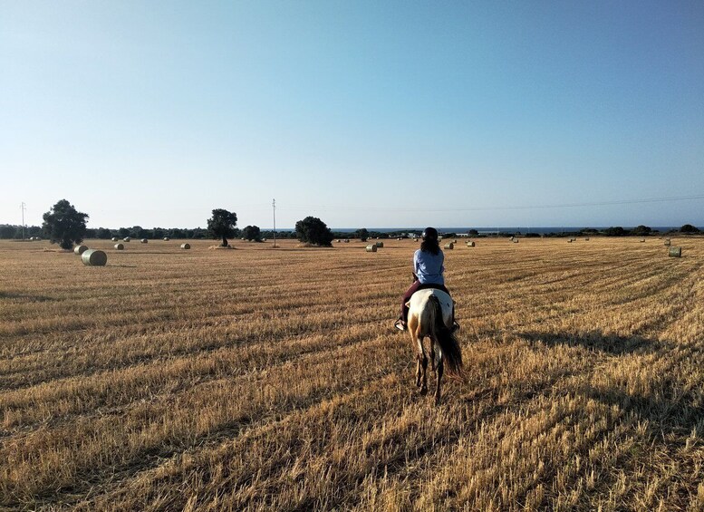 Picture 3 for Activity Apulia: Horseback Riding Trip in Parco Dune Costiere