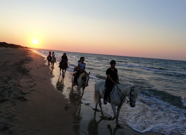 Picture 5 for Activity Apulia: Horseback Riding Trip in Parco Dune Costiere