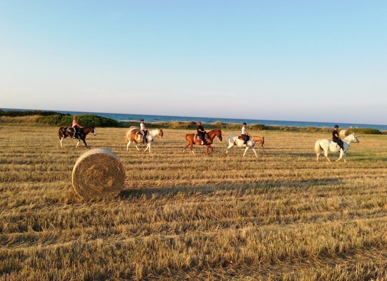 Picture 1 for Activity Apulia: Horseback Riding Trip in Parco Dune Costiere