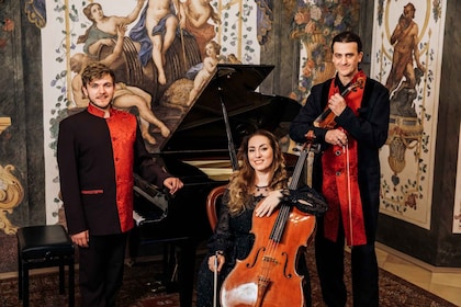 Vienne : Concert classique romantique pour piano, violon et violoncelle