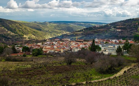 Cyprus: Troodos berg eten en wijn proeven tour met lunch