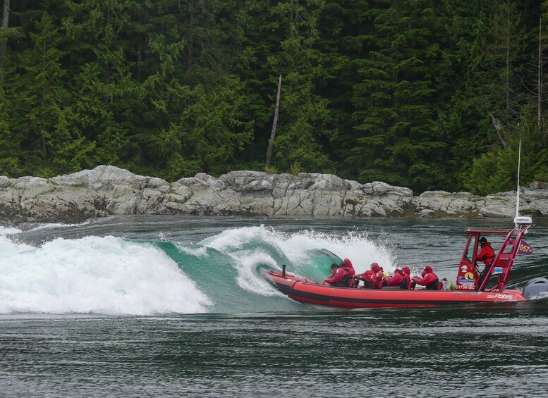 Picture 3 for Activity Campbell River: 4-Hour Ocean Rapids Ride
