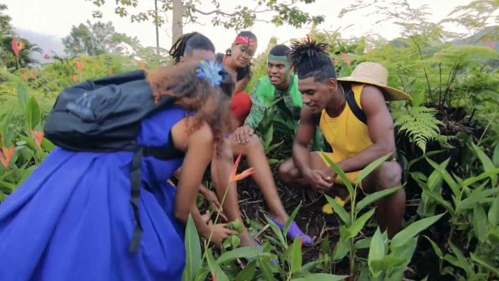 Picture 4 for Activity From Denarau or Nadi: Island Adventurers Kids Show