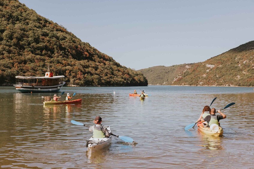 Picture 5 for Activity From Poreč: Lim Bay Sea Kayaking Day Trip
