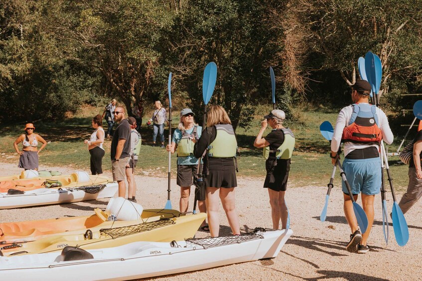 Picture 3 for Activity From Poreč: Lim Bay Sea Kayaking Day Trip