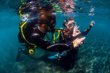 Santa Cruz de Tenerife: Immersioni per principianti e introduzione